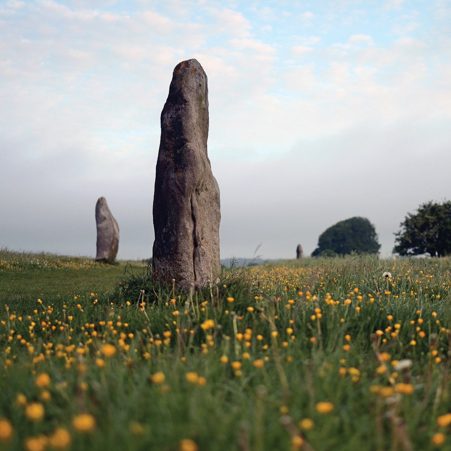 WEIRD WALK Leyline Zine [WHOLESALE]