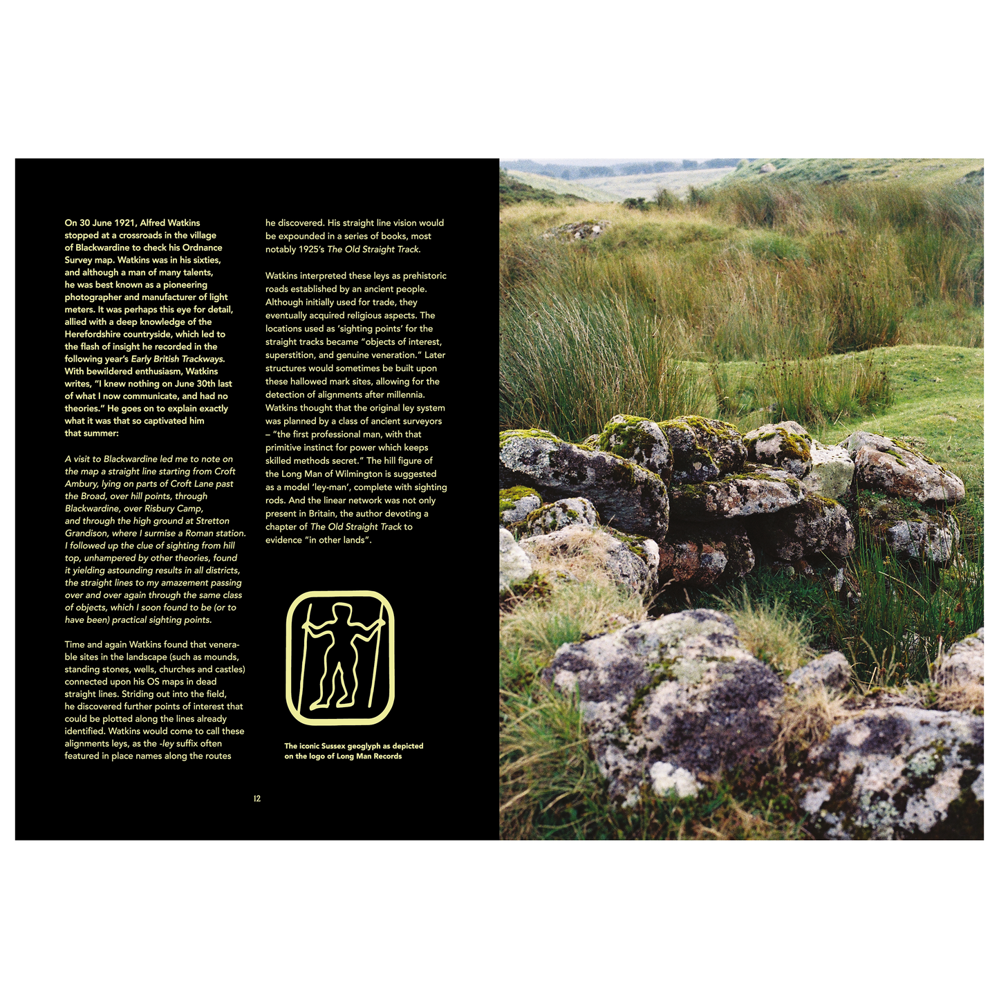 WEIRD WALK Leyline Zine [WHOLESALE]